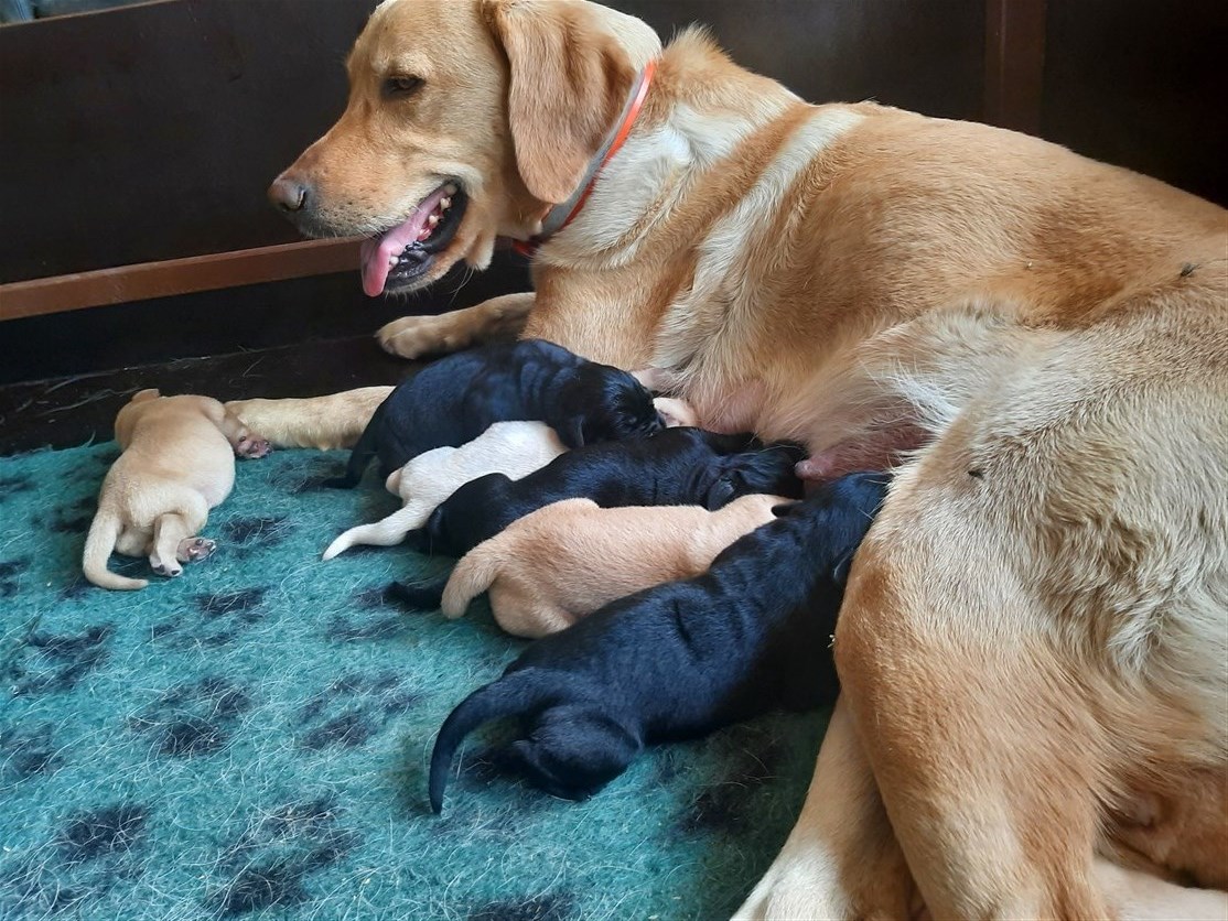 16. juli. En varm dag hvor ingen gider lave ret meget.